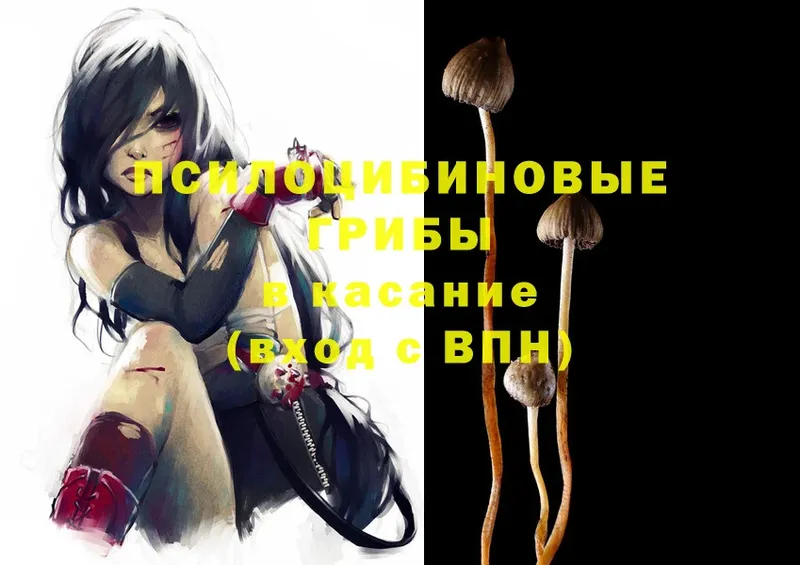 Псилоцибиновые грибы Magic Shrooms  это клад  Беломорск 